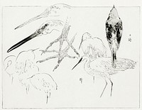 Little egret and Daurian redstart. Illustration from Bijutsu Sekai (1893-1896) by <a href="https://www.rawpixel.com/search/Wantanabe%20Seitei?sort=curated&amp;freecc0=1&amp;page=1">Watanabe Seitei</a>, a prominent Kacho-ga artist. Digitally enhanced from our own original publication. 