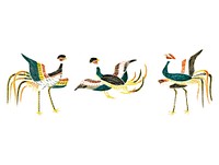 Vintage Illustration of Japanese cranes compilation
