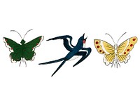 Vintage Illustration of Japanese bird and butterflies