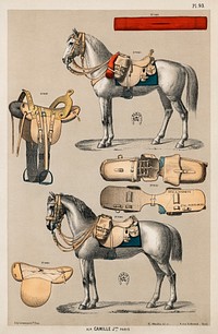 A chromolithograph of horses with antique horseback riding equipments from an antique horseback riding catalog (1890). Digitally enhanced from our own original plate. 