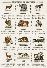 Catchpenny Print- Alphabet - Animals (1870) by Oliver Goldsmith (1728-1774), a print of alphabets and animals. Digitally enhanced from our own original plate. 