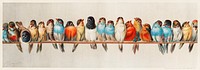 A Perch of Birds vintage illustration wall art print and poster design remix from original artwork of Hector Giacomelli 