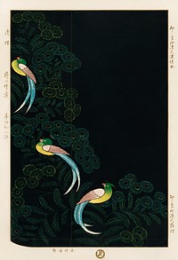 Traditional illustration lithograph of kimono design, three colorful birds in a black background. Digitally enhanced from our own antique plate. 