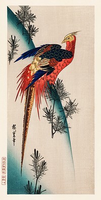 The ukiyo-e illustration, Pheasant & Small Pine by Utagawa Hiroshige also known as Ando Hiroshige (1797-1858), a portrait of a majestically vibrant pheasant. Digitally enhanced from our own antique plate. 