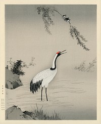 A traditional portrait of a beautiful Japanese crane by Kano Motonobu (1476-1559). Digitally enhanced from our own antique wood block print. 