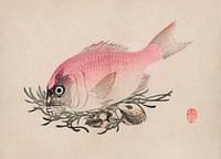The ukiyo-e illustration of fish and clams by Mochizuki Gyokusen, drawn in the year 1891. Digitally enhanced from our own original wood block print. 