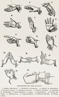 Positions of the Hands (1910) from the work of <a href="https://www.rawpixel.com/search/Joseph%20Gibbons%20Richardson?sort=curated&amp;type=all&amp;page=1">Joseph Gibbons Richardson</a> (1836-1886). Drawings of hand gestures for sign language. Digitally enhanced from the original plate. 