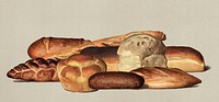 Vintage Illustration of various types of baked bread loaves.