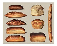 Vintage bread illustration wall art print and poster.
