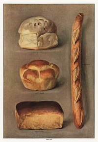 The Grocer's Encyclopedia (1911), a vintage collection of various types of baked bread loaves. Digitally enhanced from our own original plate. 