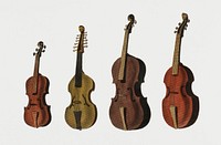 Vintage Illustration of antique violin, viola, cello.