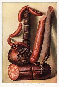 The Grocer's Encyclopedia (1911), an illustrated assortment of various types of appetizing sausages. Digitally enhanced from our own original plate. 