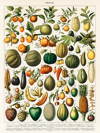 A vintage illustration of a wide variety of fruits and vegetables from the book, Nouveau Larousse Illustre (1898), by <a href="https://www.rawpixel.com/search/Larousse?sort=curated&amp;type=all&amp;page=1">Larousse</a>, <a href="https://www.rawpixel.com/search/Pierre?sort=curated&amp;type=all&amp;page=1">Pierre</a>, <a href="https://www.rawpixel.com/search/Aug%C3%A9?sort=curated&amp;type=all&amp;page=1">Aug&eacute;</a> and <a href="https://www.rawpixel.com/search/Claude?sort=curated&amp;type=all&amp;page=1">Claude</a>, Digitally enhanced from our own antique chromolithograph. 