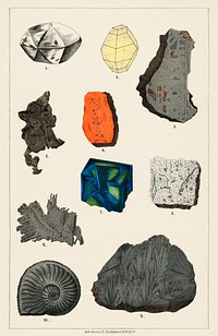 Natural History concept print (1880) by Emil Hochdanz (1816-1855), a collection of colorful gemstones. Digitally enhanced from our own original chromolithographic plate. 