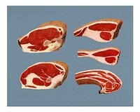Vintage Beef Sirloins illustration wall art print and poster.