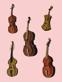 A collection of antique violin, viola, cello and more from Encyclopedia Londinensis; or Universal Dictionary of Arts, Sciences and Literature (1810). Digitally enhanced by rawpixel.