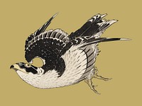 The ukiyo-e illustration, Hawk by <a href="https://www.rawpixel.com/search/Katsushika%20Hokusai?sort=curated&amp;page=1">Katsushika Hokusai</a> (1849), a portrait of a flying hawk in the sky. Digitally enhanced from our own antique wood block print. Digitally enhanced by rawpixel.