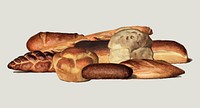 The Grocer's Encyclopedia (1911), a vintage collection of various types of baked bread loaves. Digitally enhanced by rawpixel.