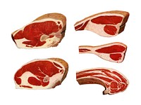 Beef Sirloins from the book, The Grocer&rsquo;s Encyclopedia (1911). Digitally enhanced by rawpixel.