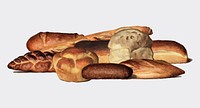 The Grocer&#39;s Encyclopedia (1911), a vintage collection of various types of baked bread loaves. Digitally enhanced by rawpixel.