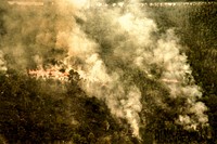 A forest fire burning in Volusia County, Florida. Original from NASA. Digitally enhanced by rawpixel.