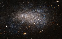 Hubble Nets a Subtle Swarm. This Hubble image shows NGC 4789A, a dwarf irregular galaxy in the constellation of Coma Berenices. Original from NASA. Digitally enhanced by rawpixel.