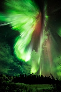 St. Patrick&#39;s aurora, a green aurora taken at Donnelly Creek, Alaska, March 17th, 2015. Original from NASA. Digitally enhanced by rawpixel.