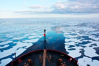 The U.S. Coast Guard Cutter Healy in the Beaufort Sea, northeast of Barrow, Alaska. Original from NASA . Digitally enhanced by rawpixel.