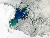 Every southern spring and summer, after the Sun has risen into its 24-hour circuit around the skies of Antarctica, the Ross Sea bursts with life. Original from NASA. Digitally enhanced by rawpixel.