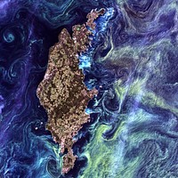 Massive congregations of greenish phytoplankton swirl in the dark water around Gotland, a Swedish island in the Baltic Sea. Original from NASA. Digitally enhanced by rawpixel.