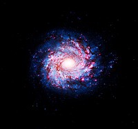 Hubble sees pinwheel of star birth. October 19th, 2010. Original from NASA. Digitally enhanced by rawpixel.