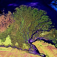 The Lena River, some 2,800 miles long, is one of the largest rivers in the world. Original from NASA. Digitally enhanced by rawpixel.