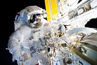 NASA astronauts successfully installed a new international docking adapter on Aug 19, 2016. Original from NASA . Digitally enhanced by rawpixel.