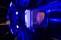 Inside the Spectrum prototype unit, organisms in a Petri plate are exposed to blue excitation lighting. Original from NASA. Digitally enhanced by rawpixel.