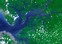 Image acquired by NASA's Terra spacecraft of the Sierra Leone estuary. Original from NASA. Digitally enhanced by rawpixel.