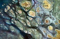 Lake Mackay, the largest of hundreds of ephemeral lakes scattered throughout Western Australia and the Northern Territory. Original from NASA. Digitally enhanced by rawpixel.