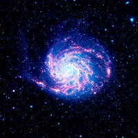 The tangled arms of the Pinwheel galaxy, otherwise known as Messier 101. Original from NASA. Digitally enhanced by rawpixel.
