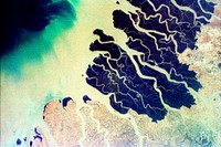 Parts of the vast Ganges delta. Original from NASA. Digitally enhanced by rawpixel.