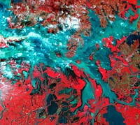 Poyang Lake, which was once China&#39;s largest freshwater lake. Original from NASA. Digitally enhanced by rawpixel.