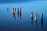 The remnant pilings of a long-gone dock appear to float in air due to their reflection in the blue, still water of a pond near NASA Kennedy Space Center. Original from NASA . Digitally enhanced by rawpixel.