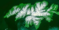 Attu, the westernmost Aleutian island, is nearly 1760 km from the Alaskan mainland. Original from NASA. Digitally enhanced by rawpixel.