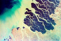 Parts of the vast Ganges delta, in fact the world&#39;s largest, lie in both Bangladesh and the State of West Bengal, India. Original from NASA. Digitally enhanced by rawpixel.