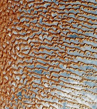 The Rub&#39; al Khali, one of the largest sand deserts in the world, encompassing most of the southern third of the Arabian Peninsula. Original from NASA. Digitally enhanced by rawpixel.