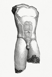 Torso of the Oldest Style Found Near Megara (1862) from Gazette Des Beaux-Arts, a French art review. Digitally enhanced from our own facsimile book. 