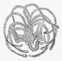 Character Drawing of a Peacock (1862) from <a href="https://www.rawpixel.com/search/Gazette%20Des%20Beaux-Arts?sort=curated&amp;page=1">Gazette Des Beaux-Arts</a>, a French art review. Digitally enhanced from our own facsimile book. 