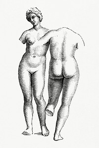 Drawing of Raphael-Museum of Venice (1862) from <a href="https://www.rawpixel.com/search/Gazette%20Des%20Beaux-Arts?sort=curated&amp;page=1">Gazette Des Beaux-Arts</a>, a French art review. Digitally enhanced from our own facsimile book. 