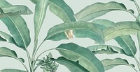 Banana leaf background vintage illustration