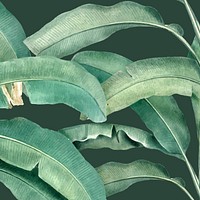 Banana leaf background vintage illustration