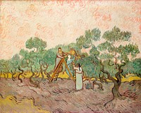 Women Picking Olives (1889) by <a href="https://www.rawpixel.com/search/Vincent%20Van%20Gogh?sort=curated&amp;page=1">Vincent Van Gogh</a>. Original from the MET Museum. Digitally enhanced by rawpixel.