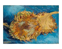 Sunflowers (1887) by Vincent van Gogh.